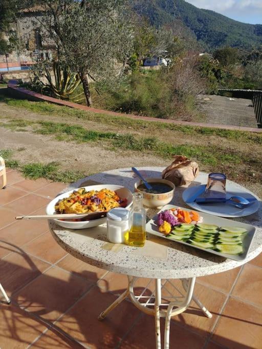 Cottage Eco-Friendly Barcelona Country Side Ла-Гаррига Экстерьер фото