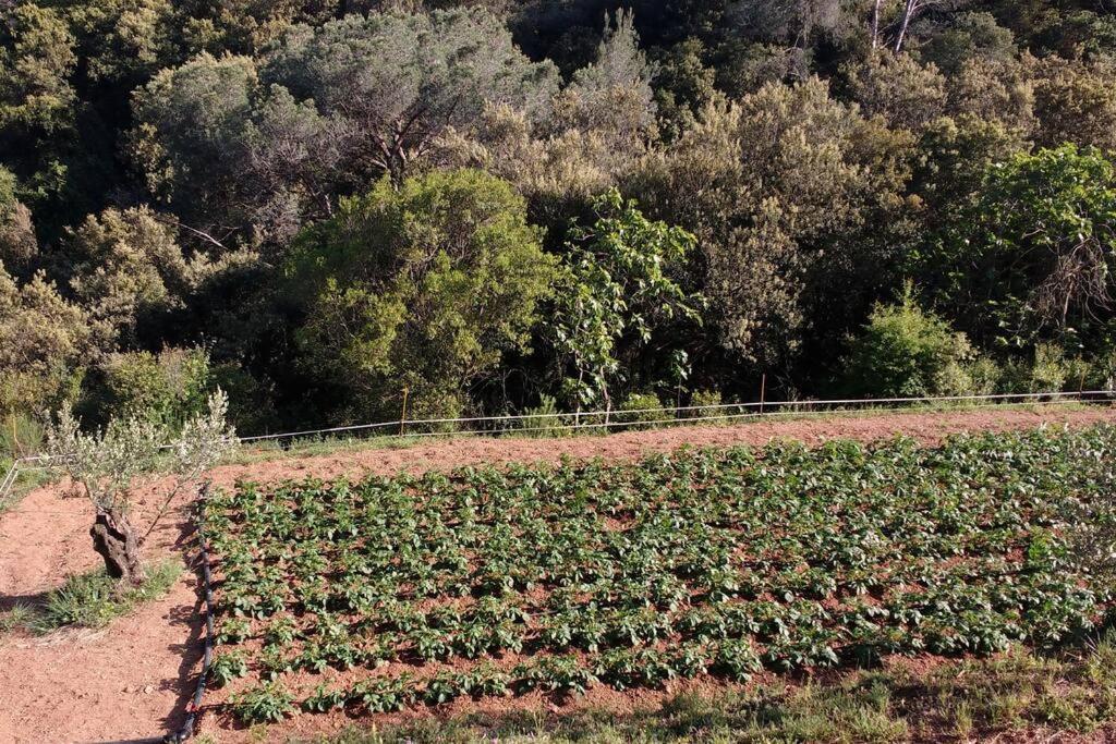 Cottage Eco-Friendly Barcelona Country Side Ла-Гаррига Экстерьер фото