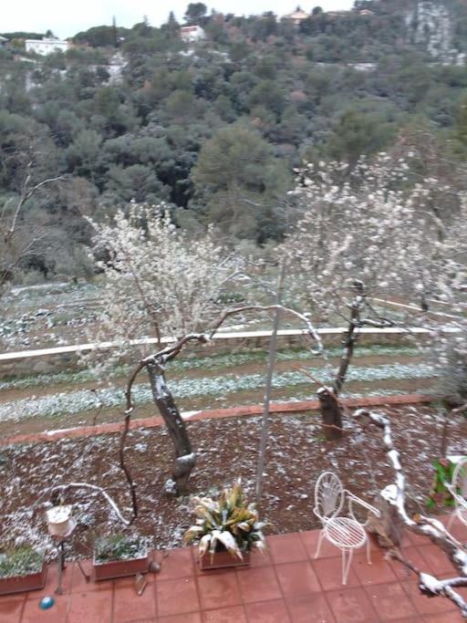 Cottage Eco-Friendly Barcelona Country Side Ла-Гаррига Экстерьер фото
